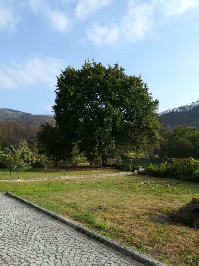 Casa Dos Lacos วีเซว ภายนอก รูปภาพ